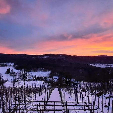 Vineyard Cottage Kulovec Ursna Sela Kültér fotó