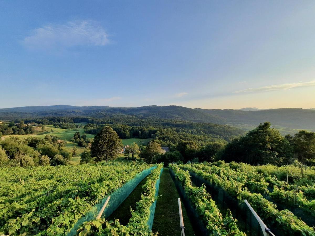 Vineyard Cottage Kulovec Ursna Sela Kültér fotó