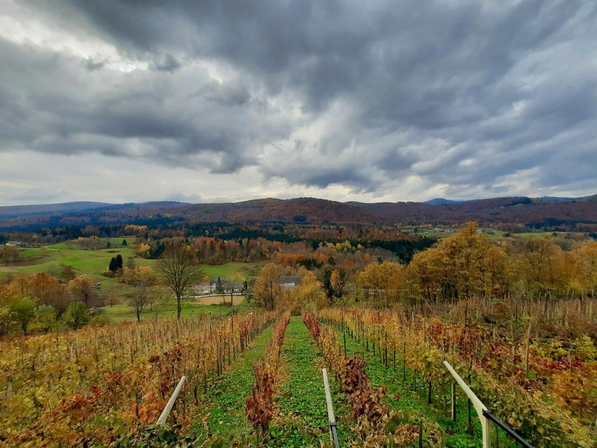 Vineyard Cottage Kulovec Ursna Sela Kültér fotó