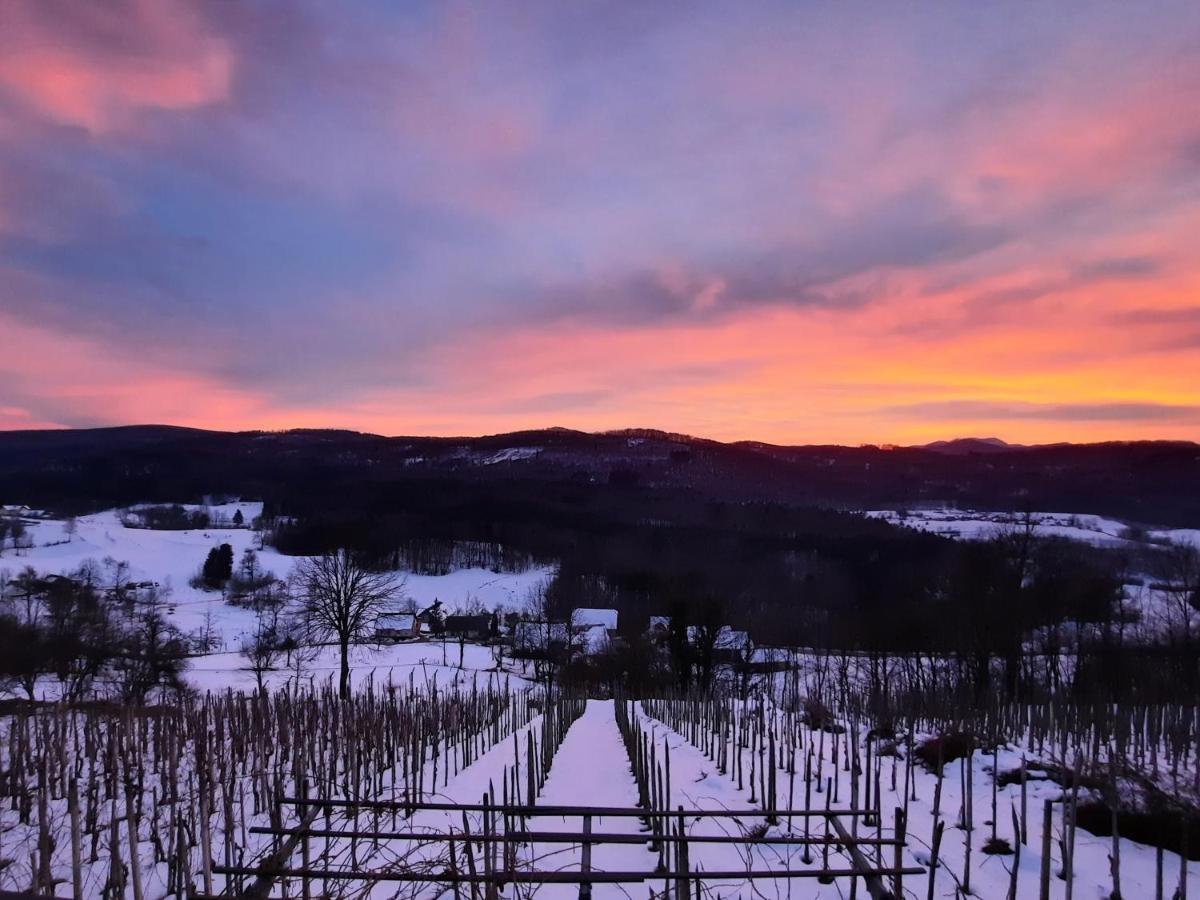 Vineyard Cottage Kulovec Ursna Sela Kültér fotó